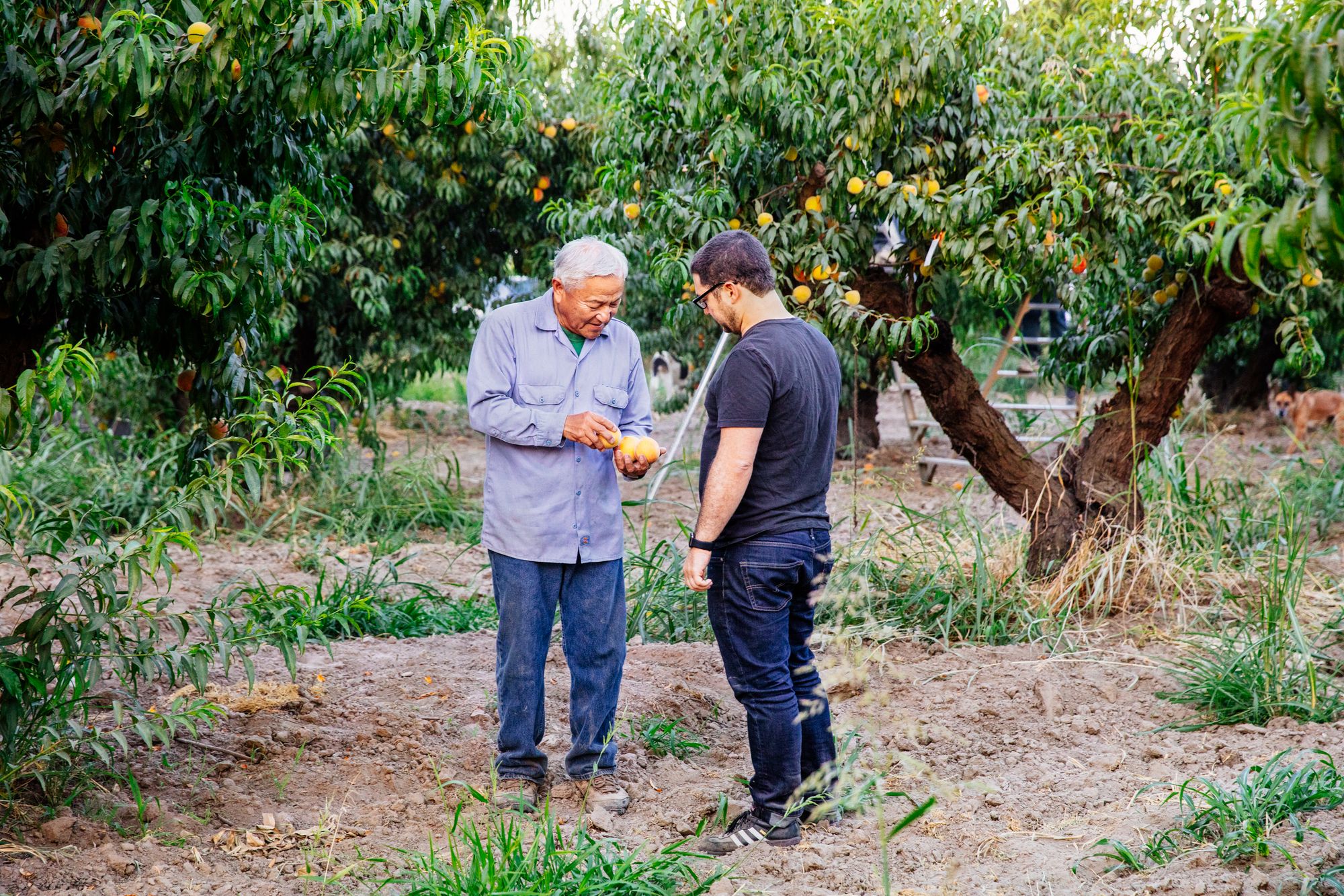 Local Sourcing, Scaled: How Good Eggs Connects Small Farms to the Masses