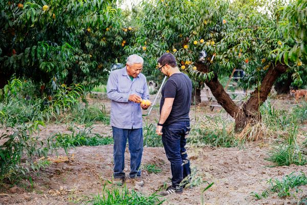Local Sourcing, Scaled: How Good Eggs Connects Small Farms to the Masses